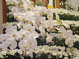都城　葬儀社